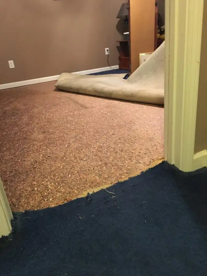 Carpet pad removal revealing water damage during Water Mitigation Services in Dania Beach
