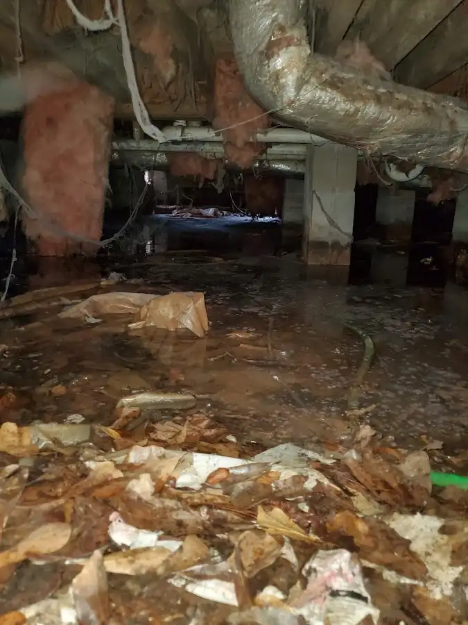 Crawl space flood assessment for Leak Detection & Repair in Dania Beach