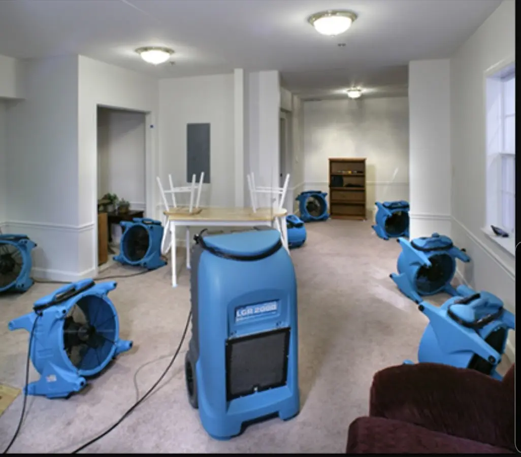 Air movers and dehumidifier setup for Water Extraction & Removal in Dania Beach